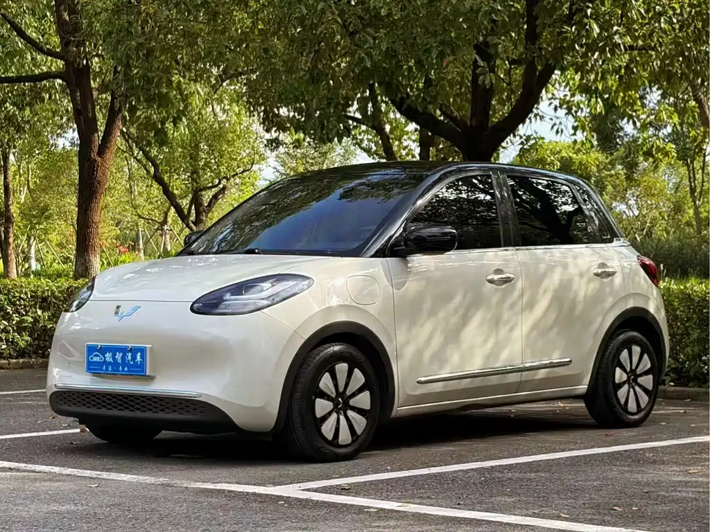 Bingo 2023 333km Delight + купить на сайте DeffCars