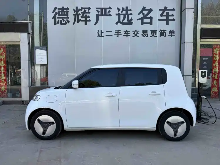 Euler White Cat 2020 360km Standard Type купить на сайте DeffCars