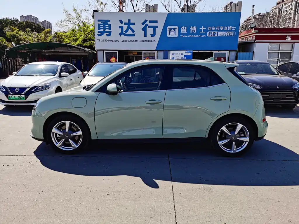 Euler Good Cat 2023 Model 401km Standard Range Honor Type Lithium Iron Phosphate купить на сайте DeffCars