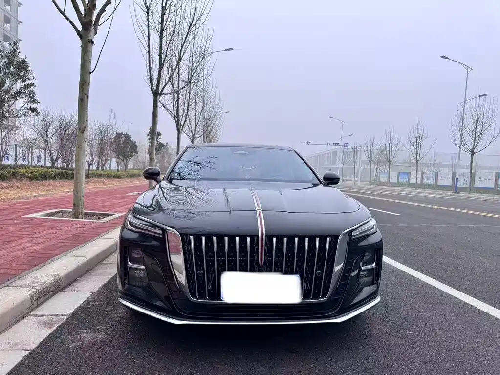 Hongqi H5 2025 2.0T automatic Qichang version купить на сайте DeffCars