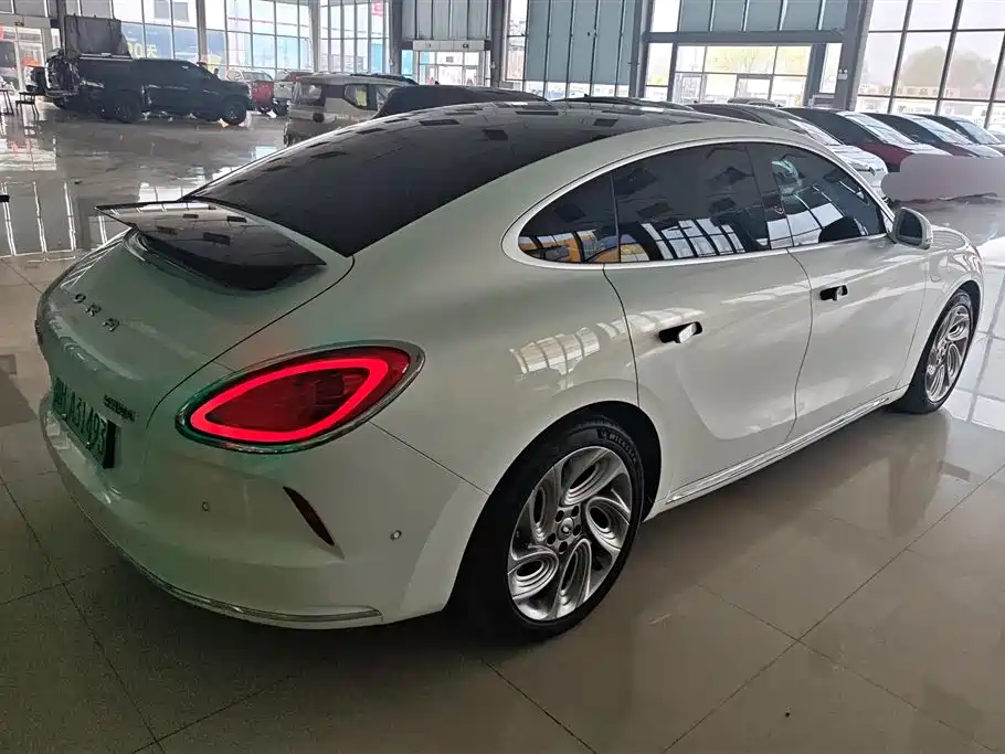 Euler Lightning Cat 2022 555km Premium Edition купить на сайте DeffCars