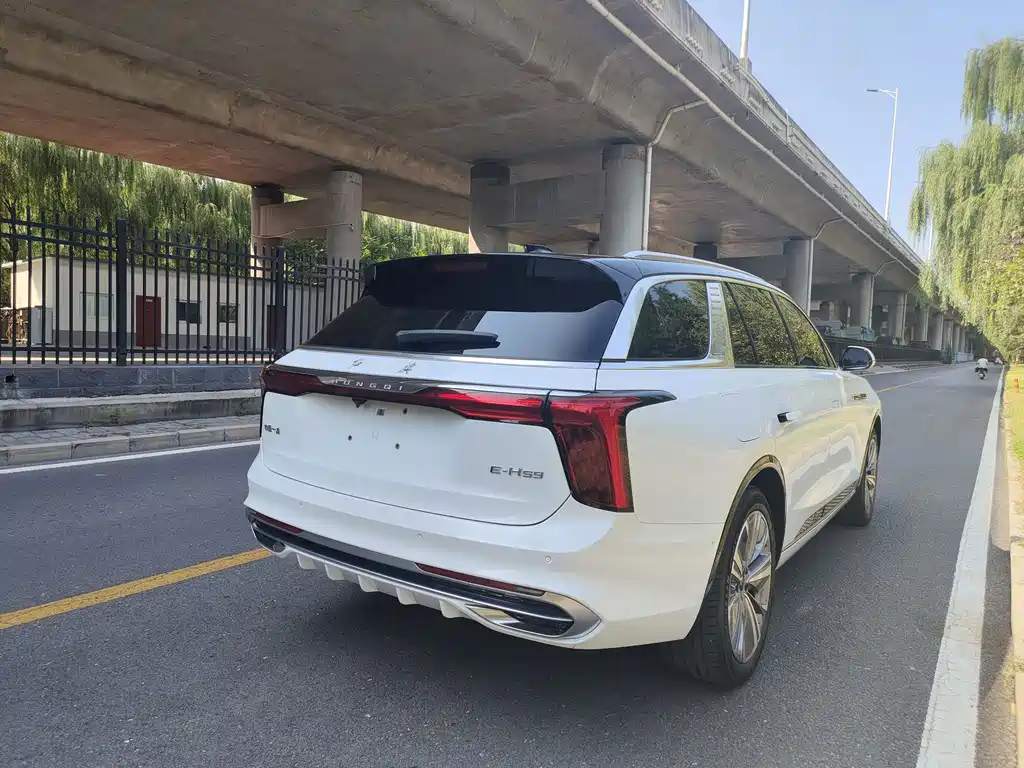 Hongqi E-HS9 2022 model 690km flagship version six seats купить на сайте DeffCars