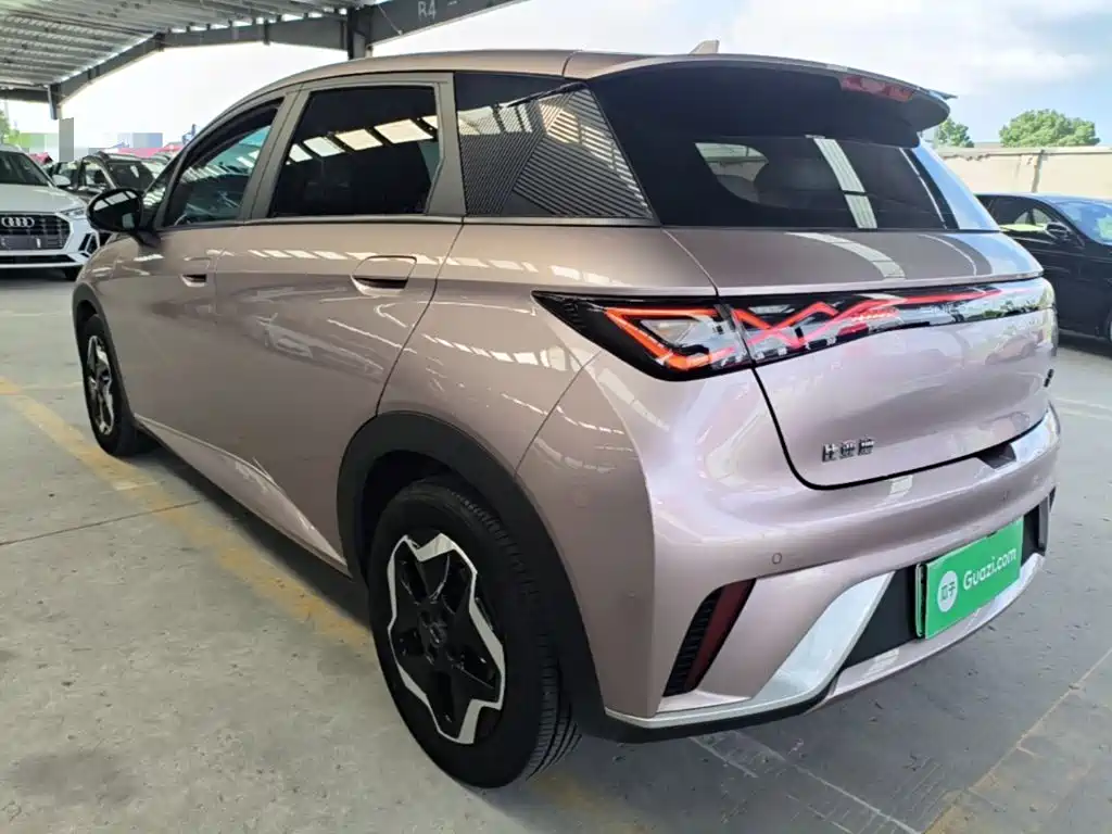 Dolphin 2021 405km Free Edition купить на сайте DeffCars