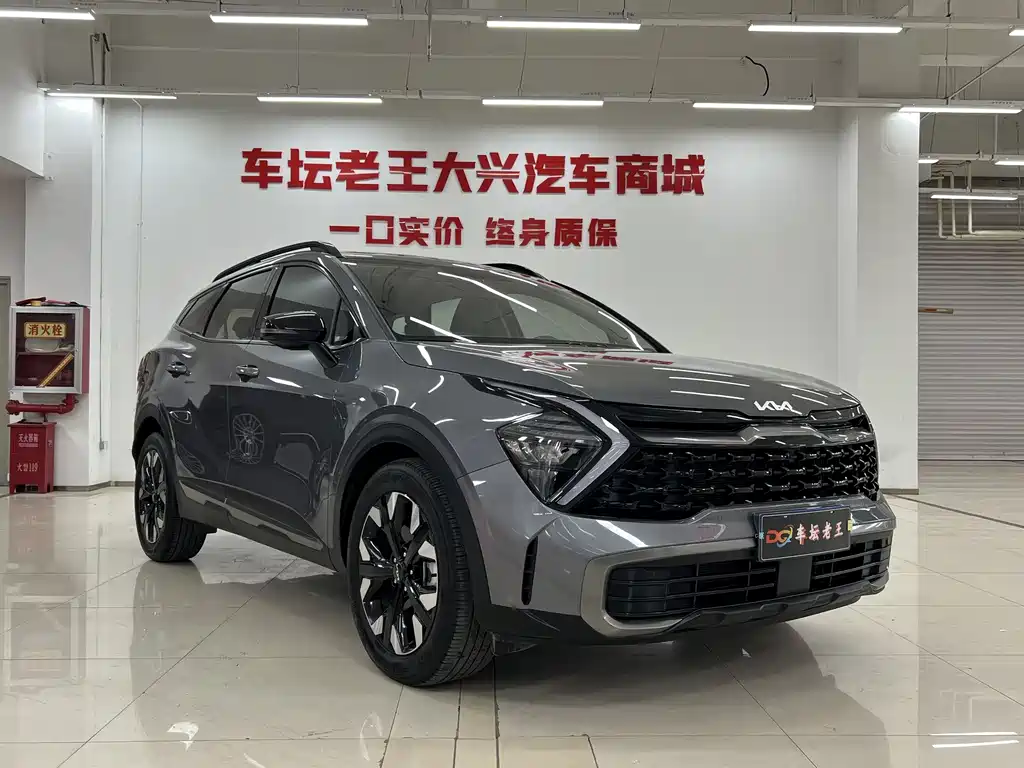 Lion Platinum Extends the World 2023 2.0T Two-wheel Drive Premium Edition купить на сайте DeffCars