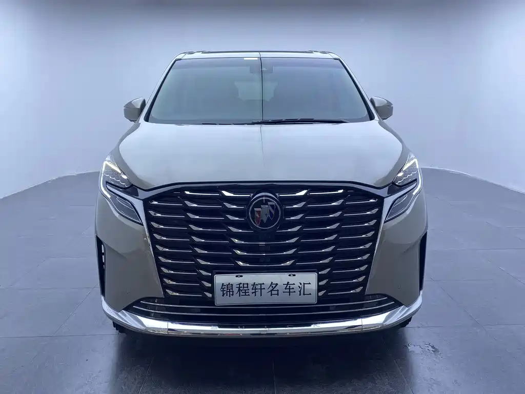 Buick GL8 2023 ES Luzun Luxury Edition купить на сайте DeffCars