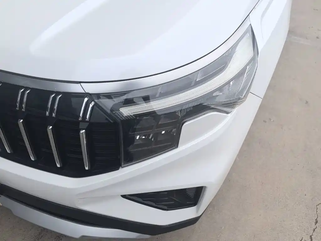 Zhipao 2021 Ace 2.0L Wonderful Edition купить на сайте DeffCars