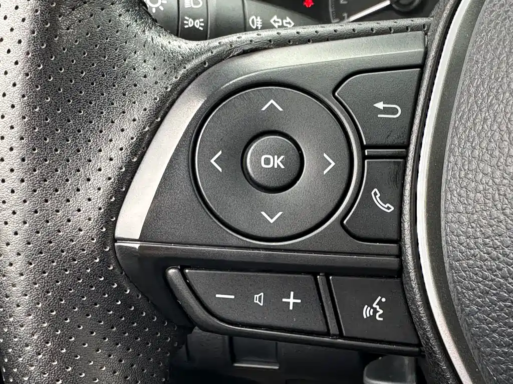 Ralink 2019 185T CVT Sports Edition National V купить на сайте DeffCars