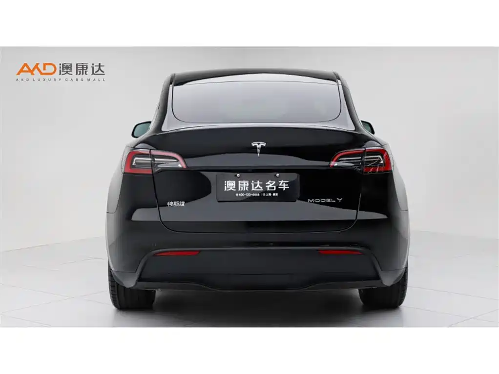TeslaModel Y/22/modified rear-wheel drive version купить на сайте DeffCars