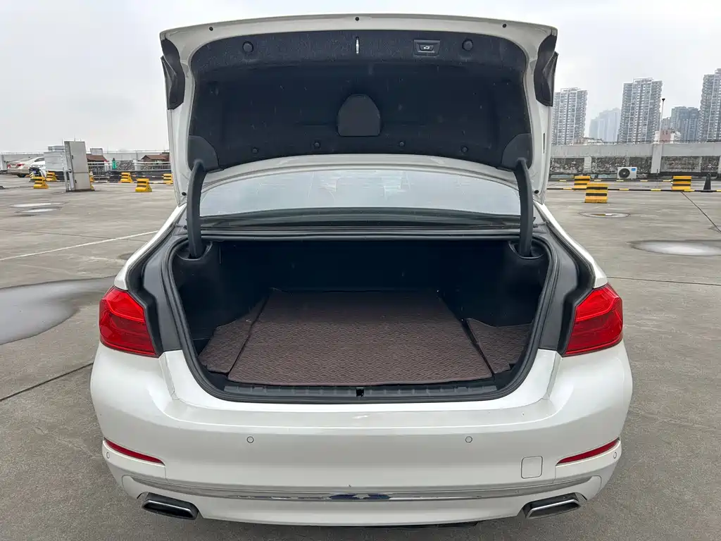 BMW 5 Series New Energy 2019 Facelift 530Le Pioneer Edition купить на сайте DeffCars