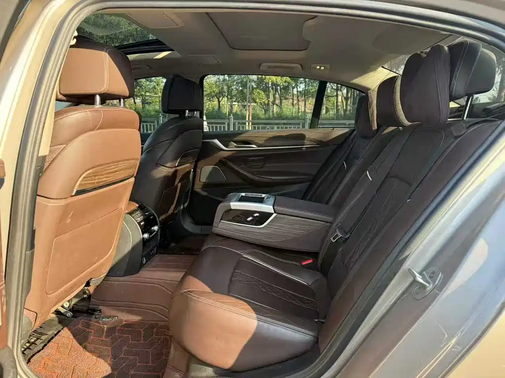 BMW 5 Series 2020 530Li Exclusive Luxury Package купить на сайте DeffCars