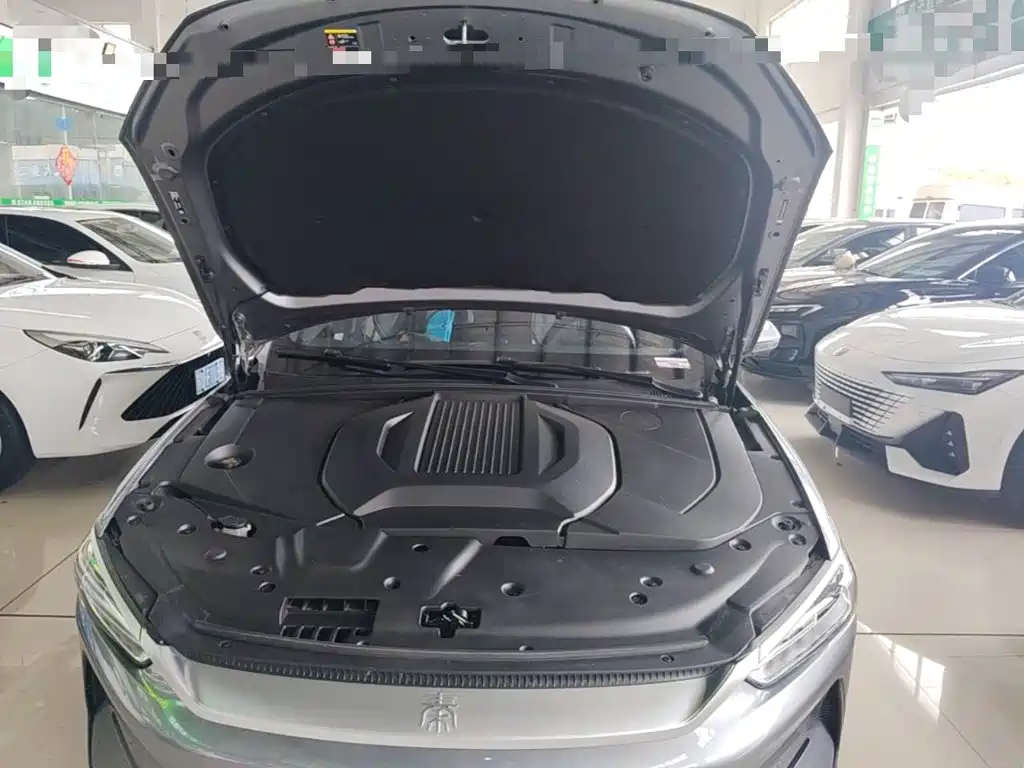 Qin PLUS 2023 Champion Edition EV 510KM Excellent Type купить на сайте DeffCars