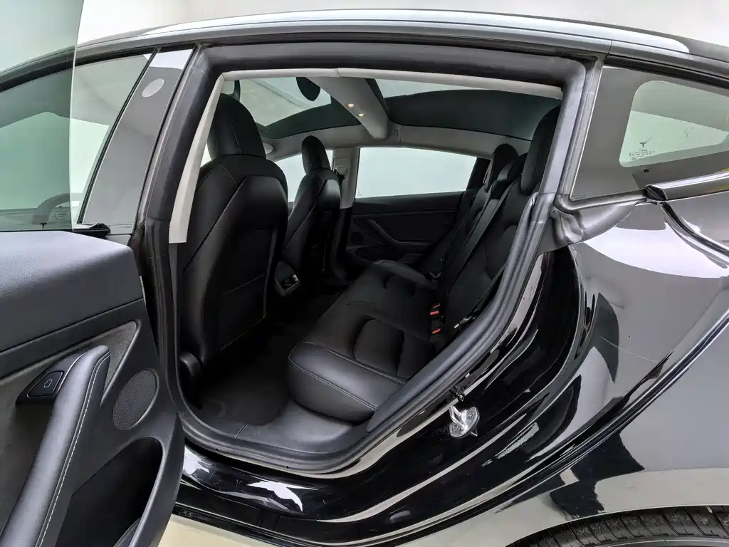Model 3 2022 rear-wheel drive version купить на сайте DeffCars