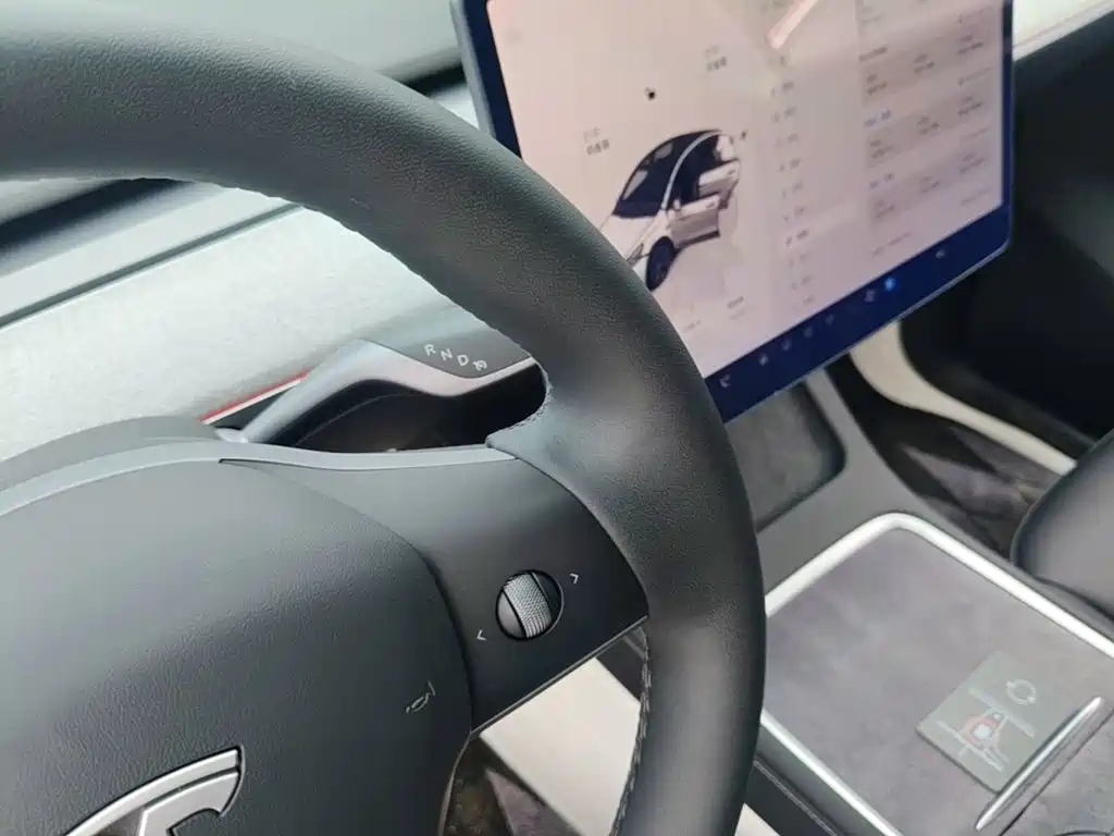 Model Y 2023 rear-wheel drive version купить на сайте DeffCars