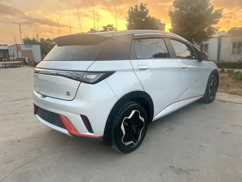 Dolphin 2021 405km fashion version купить на сайте DeffCars
