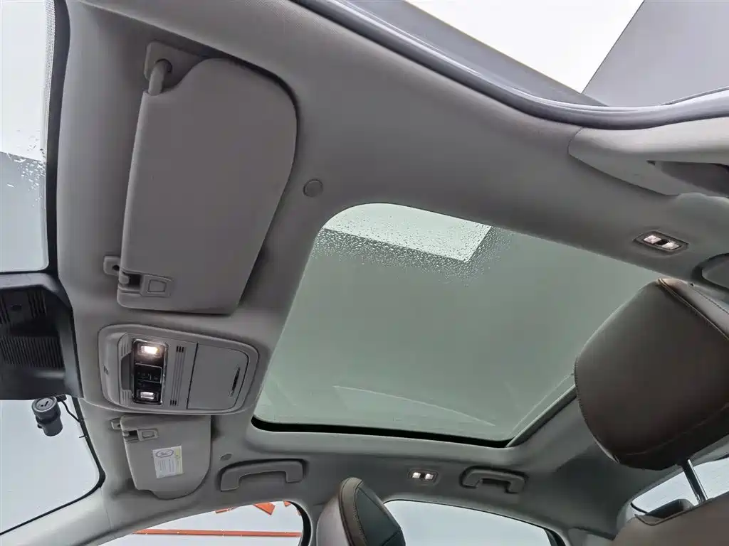 Lincoln Z 2024 2.0T two-wheel drive premium hybrid version купить на сайте DeffCars