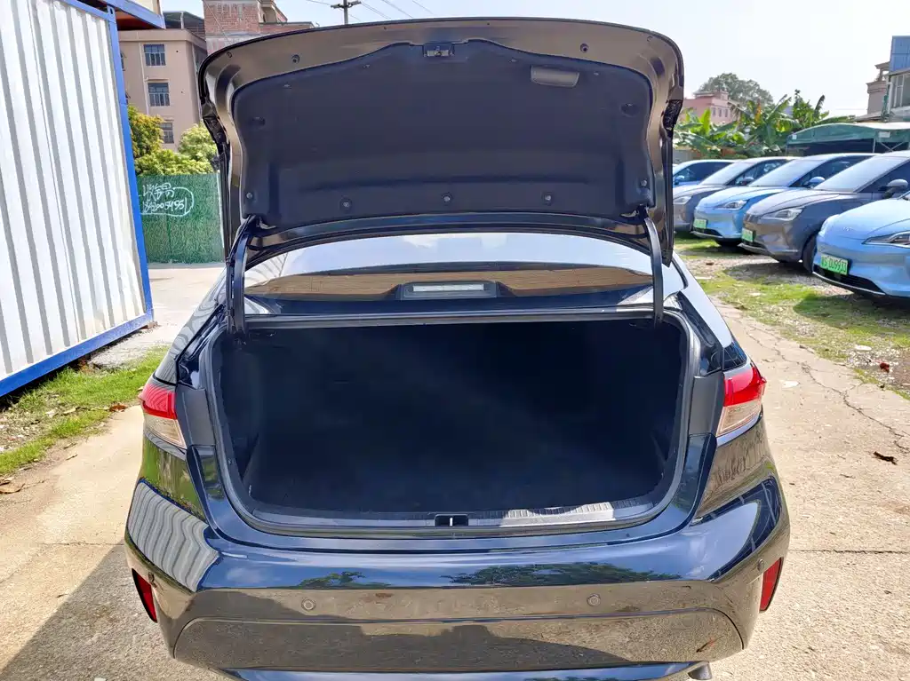 Ralink 2019 Dual Engine 1.8H E-CVT Deluxe Edition National V купить на сайте DeffCars