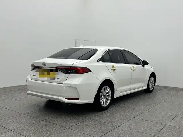 Asia Lion 2021 2.0L Advanced Edition купить на сайте DeffCars
