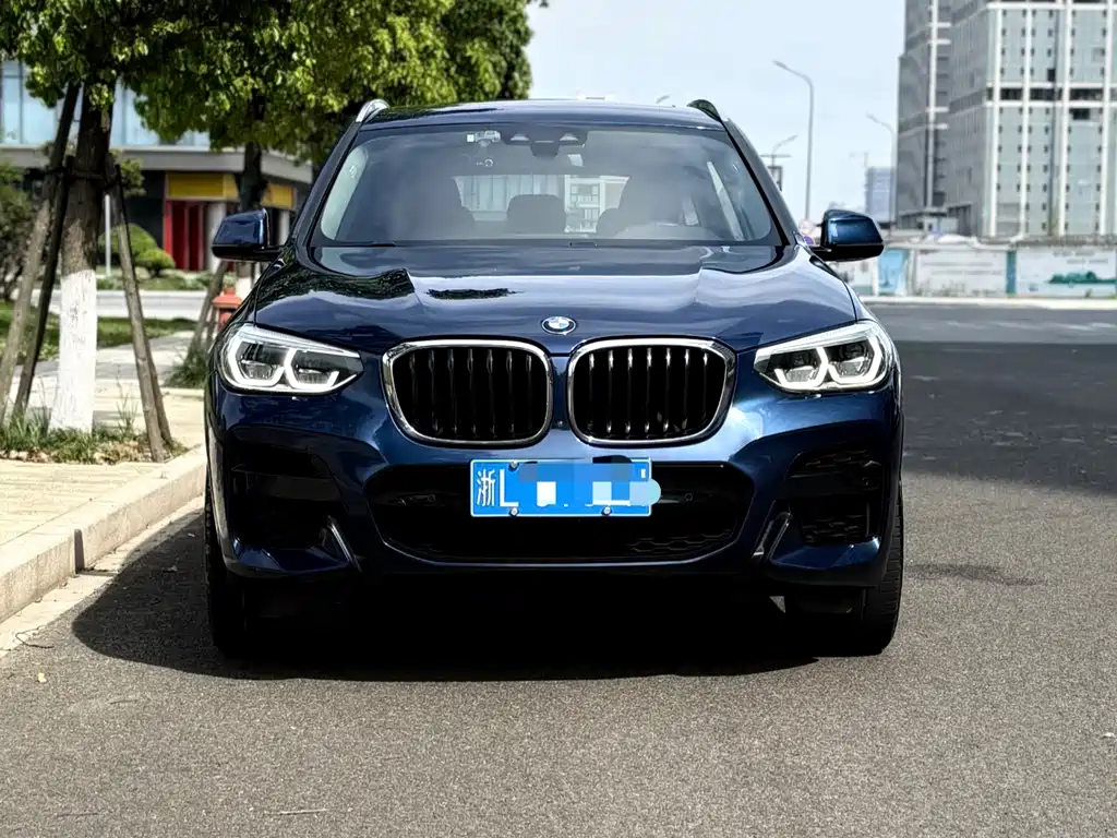BMW X3 2019 xDrive30i leading M sports package купить на сайте DeffCars