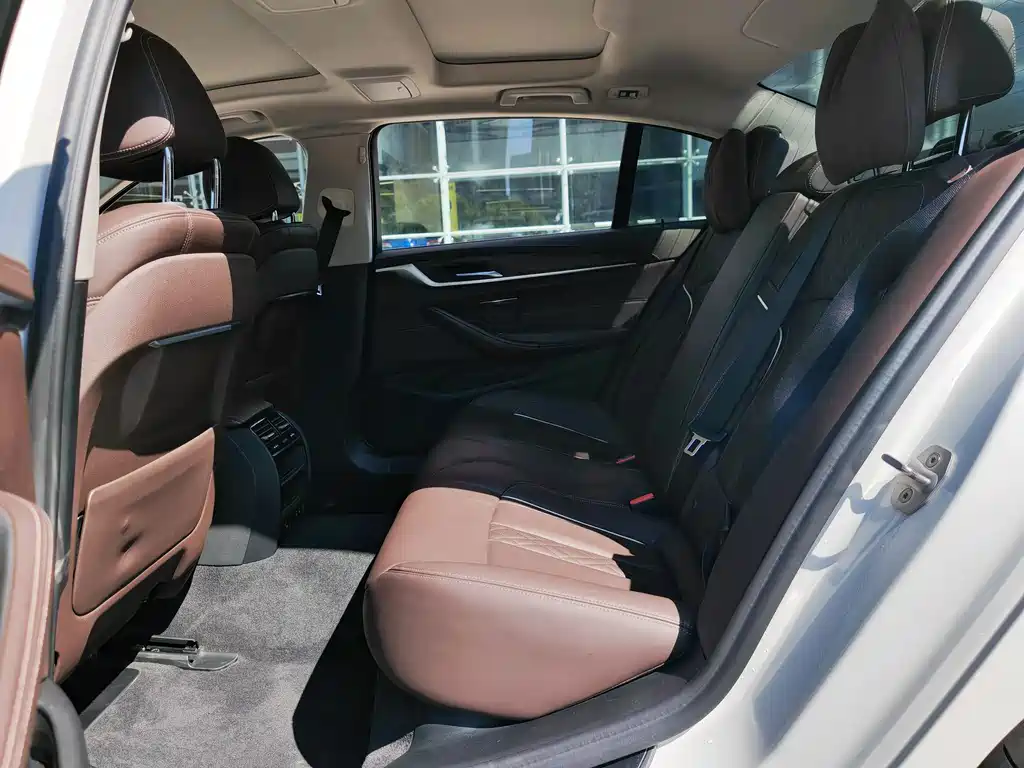 BMW 5 Series New Energy 2020 530Le Luxury Package купить на сайте DeffCars