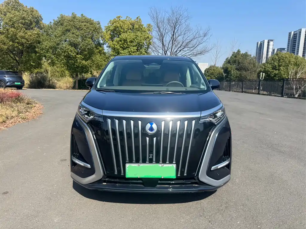 Denza D9 2022 EV 600 four-wheel drive flagship model купить на сайте DeffCars