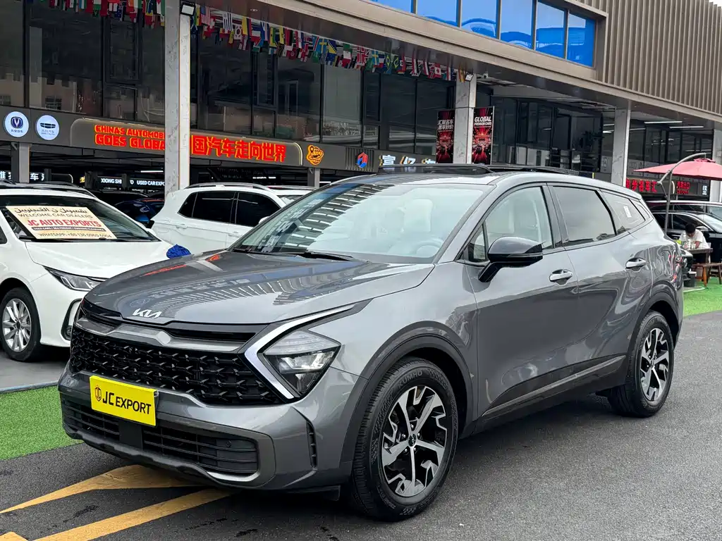 Lion Platinum Extension 2025 1.5T two-wheel drive premium version купить на сайте DeffCars