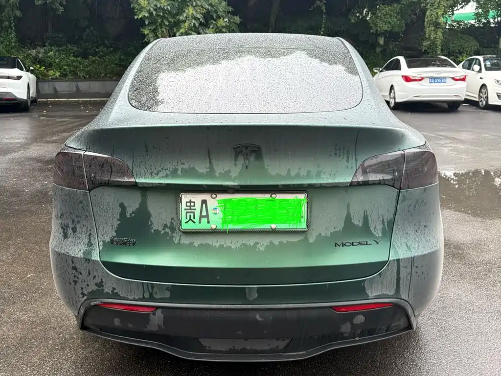 Model Y 2024 rear-wheel drive version купить на сайте DeffCars