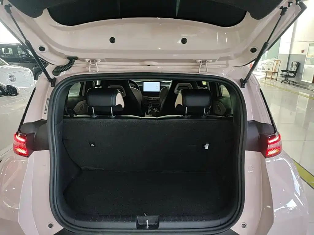 Seagull 2024 Honor Edition 305km Free Edition купить на сайте DeffCars