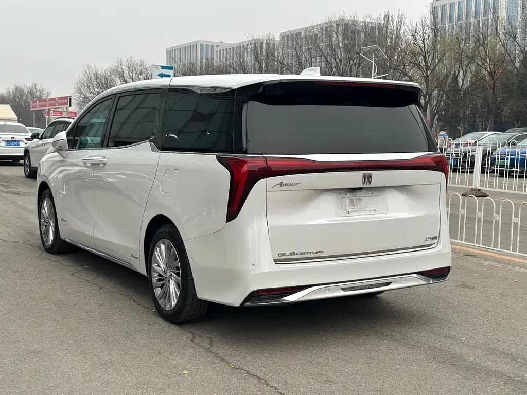 Century 2023 2.0T Six-seater Yuanshi Edition купить на сайте DeffCars