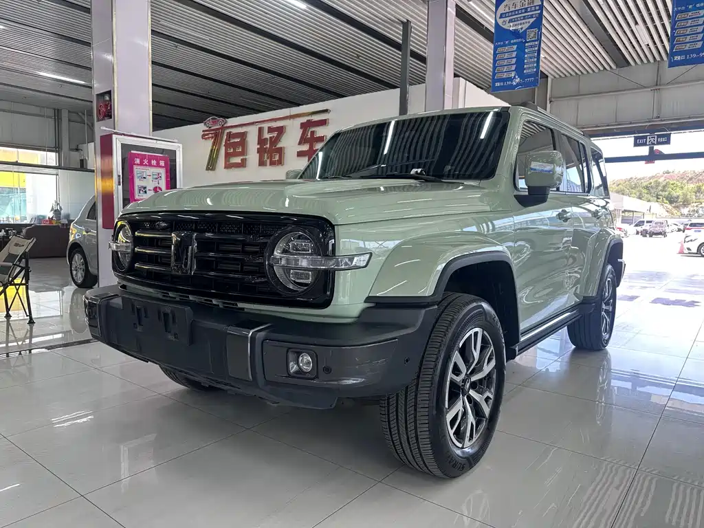 TANK 300 2023 City Edition 2.0T Very Stylish купить на сайте DeffCars
