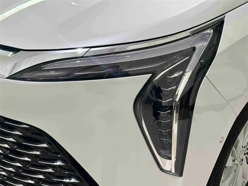 Century 2025 2.0T seven-seat Yuanshi Edition купить на сайте DeffCars