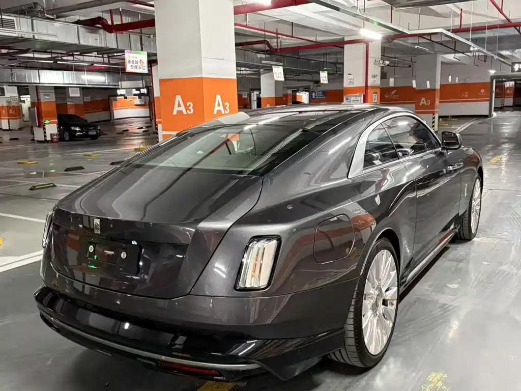 Shining 2024 Standard Type купить на сайте DeffCars