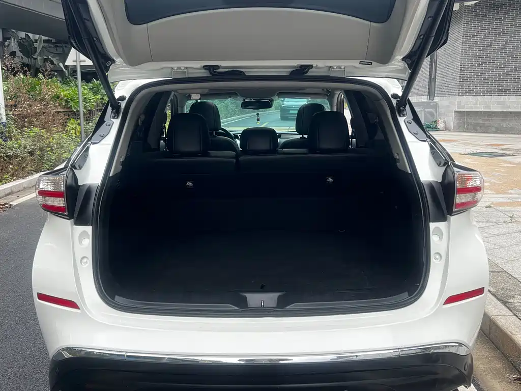 Loulan 2019 2.5 S/C HEV XL 4WD Hybrid Intelligent Premium Edition National VI купить на сайте DeffCars