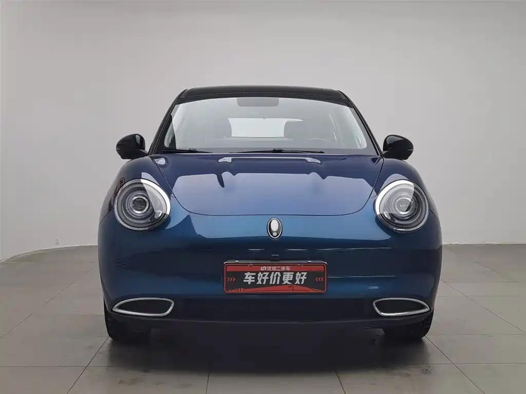 Euler Good Cat 2022 Morandi Edition 400km standard battery life luxury model ternary lithium купить на сайте DeffCars