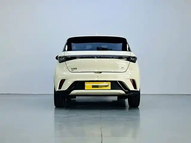 Dolphin 2023 420km fashion version купить на сайте DeffCars
