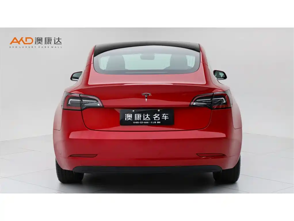 Model 3 2019 standard range rear drive upgraded version купить на сайте DeffCars