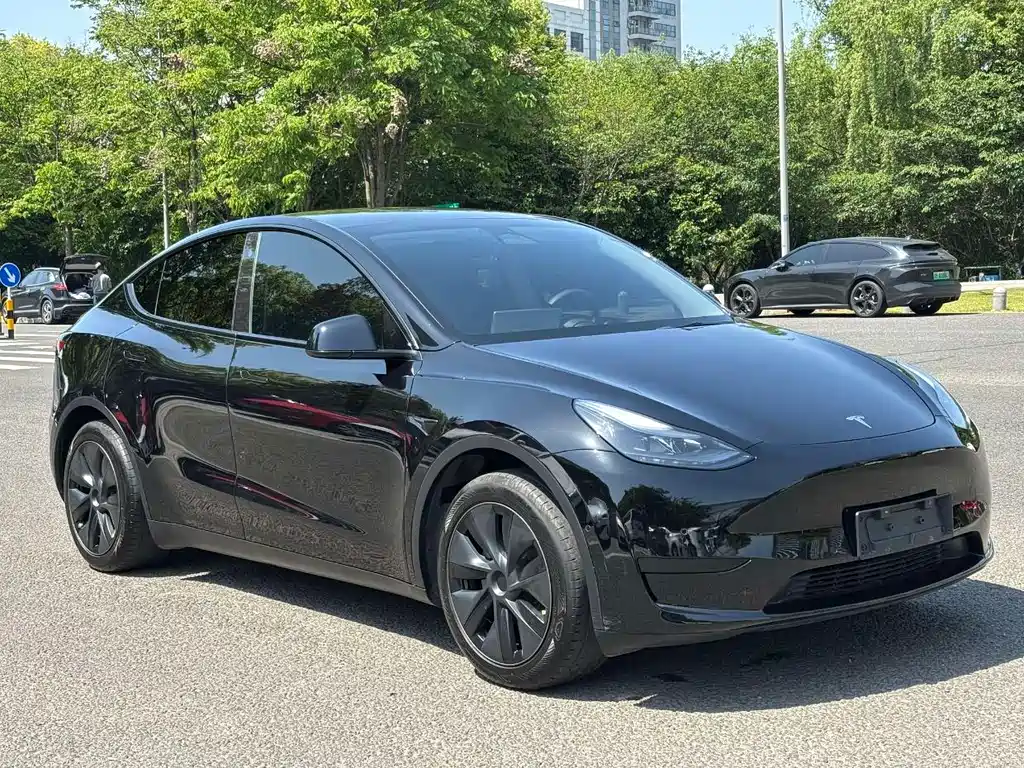Model Y 2024 rear-wheel drive version купить на сайте DeffCars