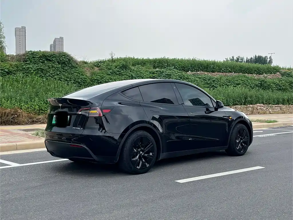 Model Y 2022 facelift rear-wheel drive version купить на сайте DeffCars