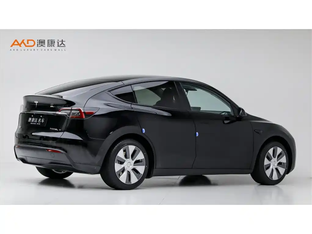 Tesla Model Y/22/modified rear-wheel drive купить на сайте DeffCars