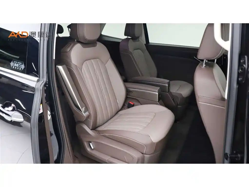 Weiran/2.0T/24 models/380TSI Zunchi Edition купить на сайте DeffCars