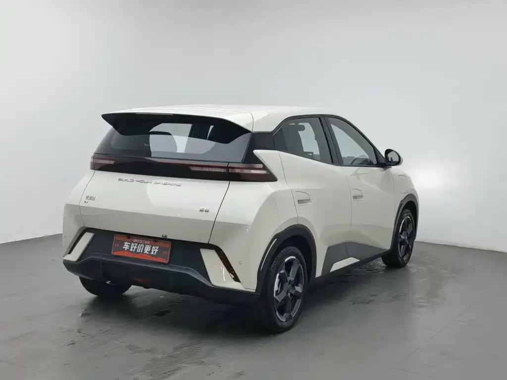Seagull 2023 Flying Edition купить на сайте DeffCars