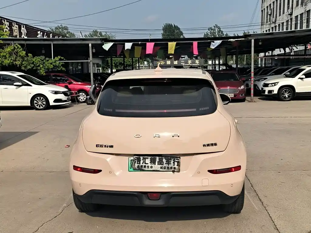Euler Good Cat 2023 Model 401km Standard Range Honor Type Lithium Iron Phosphate купить на сайте DeffCars