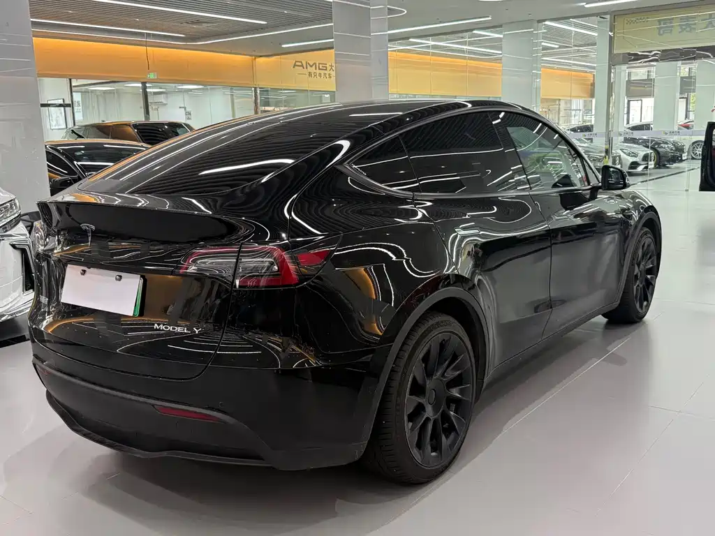 Model Y 2021 standard range rear-wheel drive version купить на сайте DeffCars