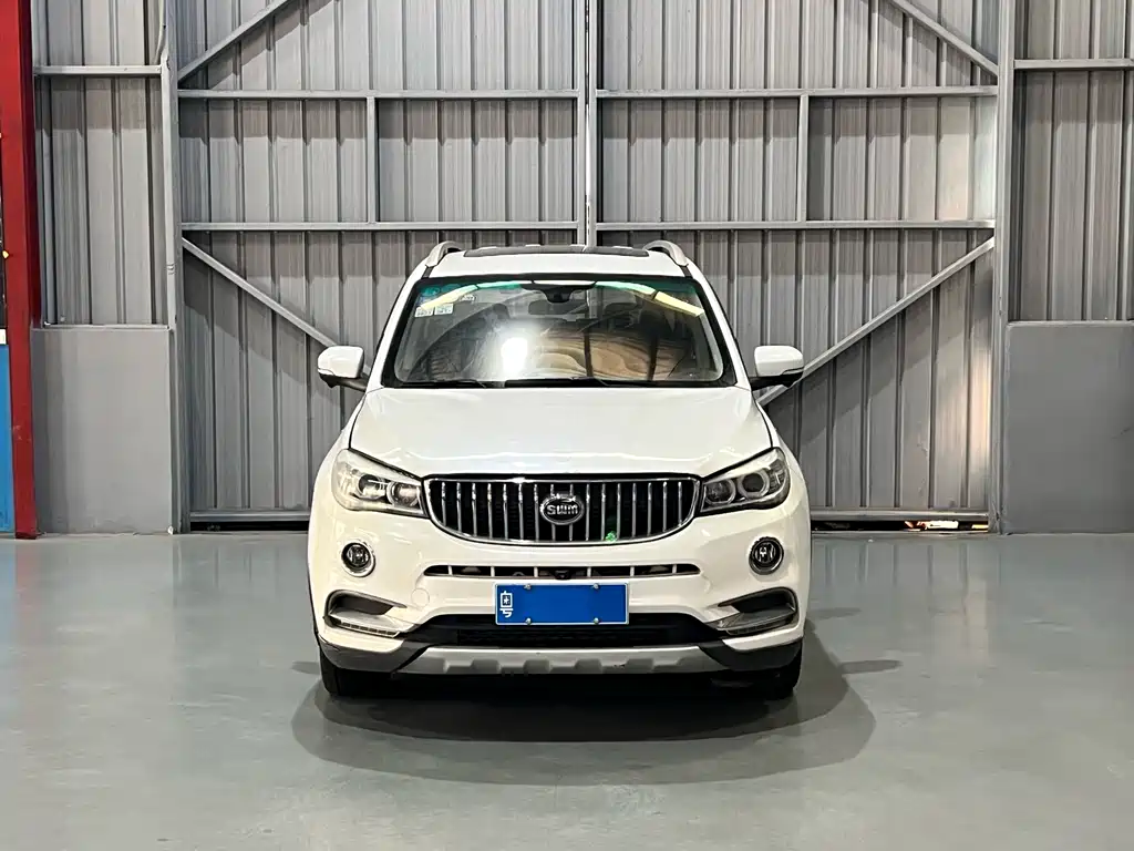 SWM X7 2017 1.5T automatic intelligent enjoyment type 7 seats купить на сайте DeffCars
