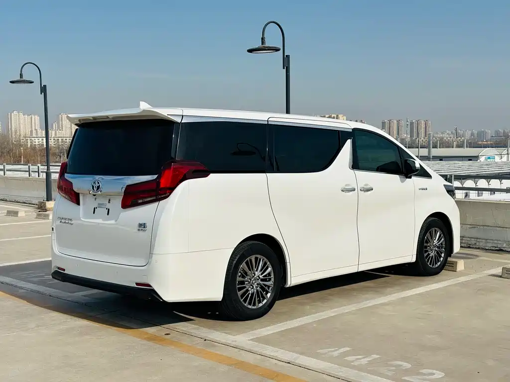 Alfa 2021 Shuangqing 2.5L Premium Edition купить на сайте DeffCars