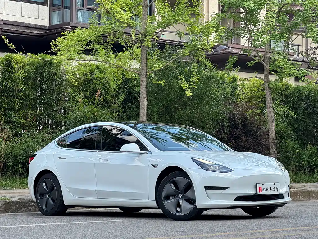 Model 3 2020 Long Range Rear Wheel Drive Edition купить на сайте DeffCars