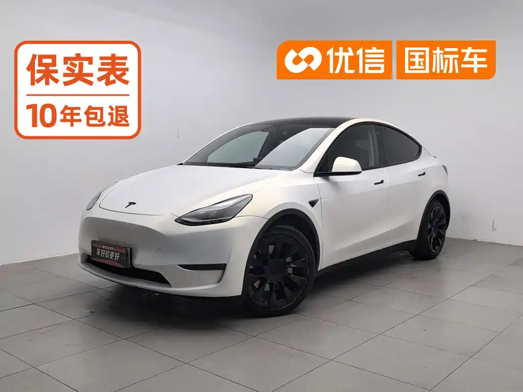 Model Y 2021 standard range rear-wheel drive version купить на сайте DeffCars