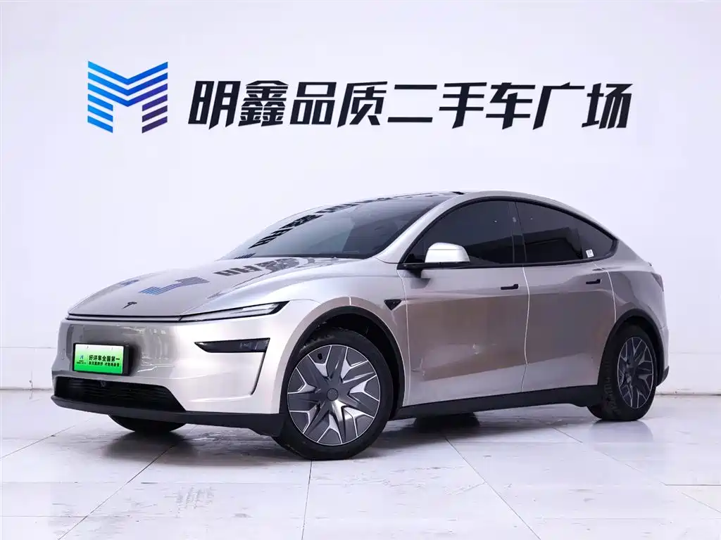 Model Y L 2025 long-range all-wheel drive version купить на сайте DeffCars