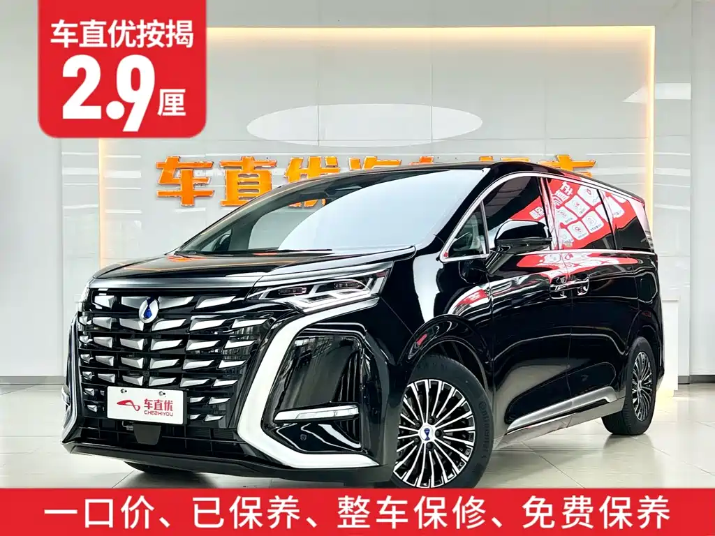 Denza D9 2024 DM-i 980 four-wheel drive premium model купить на сайте DeffCars