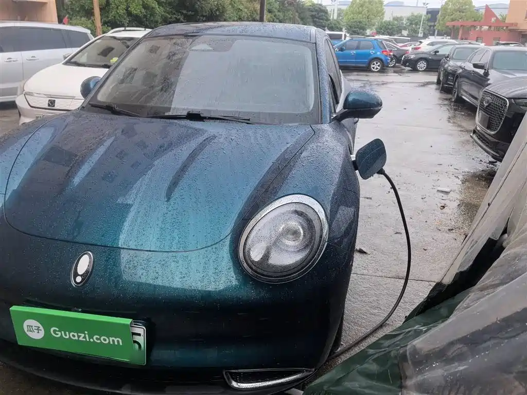 Euler Good Cat 2023 model 401km standard battery life luxury model lithium iron phosphate купить на сайте DeffCars