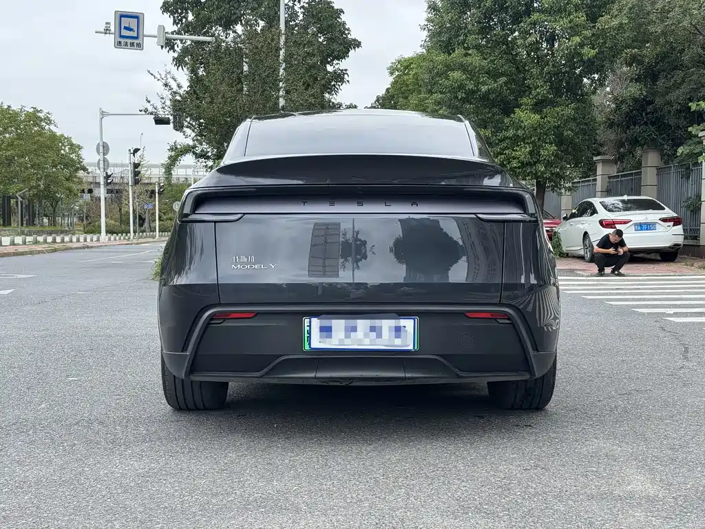 Model Y 2025 rear-wheel drive version купить на сайте DeffCars